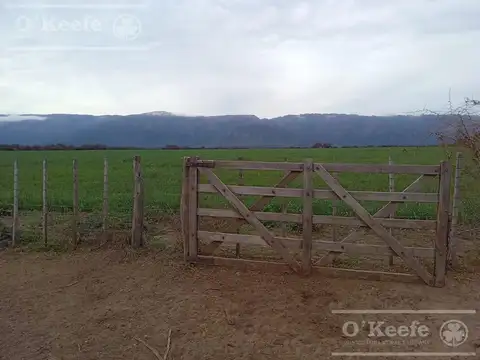 Venta Excelente Campo Agricola- Ganadero  de 781 has, Cortaderas, San Luis- Financiamiento