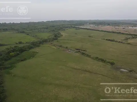 CAMPO DE 126 HAS CON COSTA SOBRE EL RÍO DE LA PLATA – BERAZATEGUI