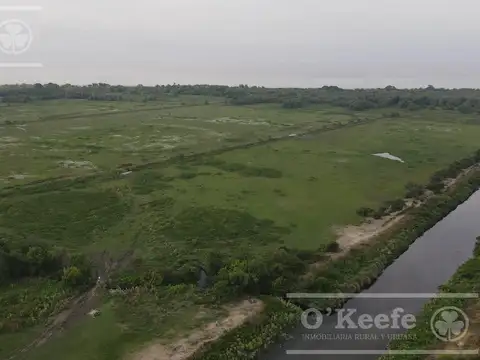 Tierra para desarrollo en venta de 126 Has en Berazategui