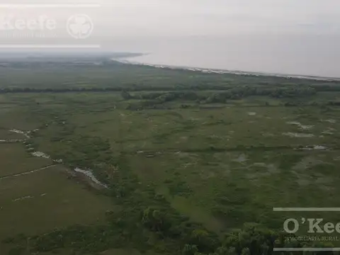 Tierra para desarrollo en venta de 126 Has en Berazategui