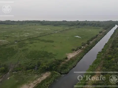 CAMPO DE 126 HAS CON COSTA SOBRE EL RÍO DE LA PLATA – BERAZATEGUI