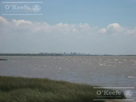 CAMPO DE 126 HAS CON COSTA SOBRE EL RÍO DE LA PLATA – BERAZATEGUI