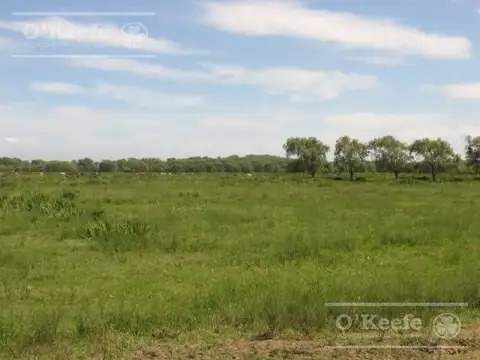 Tierra para desarrollo en venta de 126 Has en Berazategui