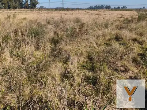 Campo en Venta en Florencio Varela, Partido de Florencio Varela