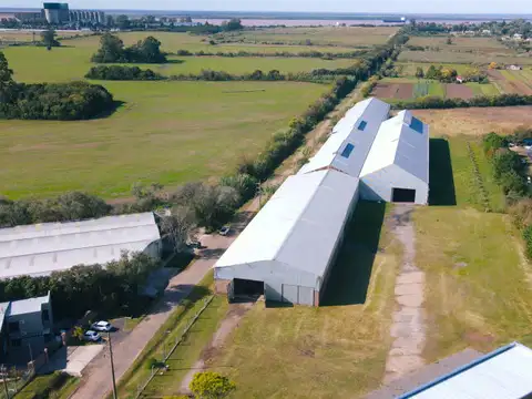 Ruta 21 km 3,5 - Nave 8200 m2 - Alvear