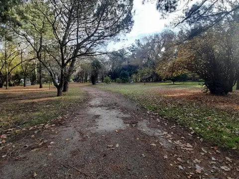 Ruta 226