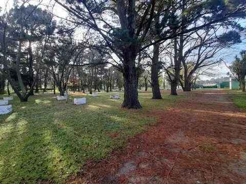 Campo en Venta de 5,10  ha