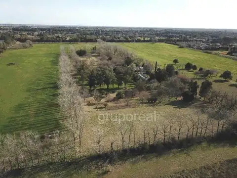 Sargento Cabral 3500