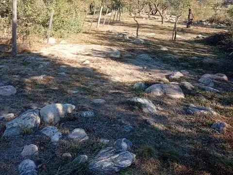 Terreno en Venta de 1000,0 m2