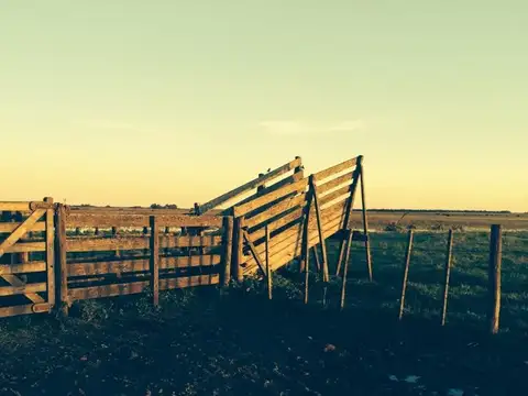 Gran Campo en Madariaga, oportunidad!