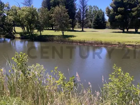 VENTA TERRENO NEUQUEN . ARROYITO COUNTRY GOLF . RUTA 237.