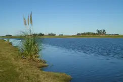 Chacras La Trinidad - Foto 10