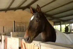 Chacras La Trinidad - Foto 11