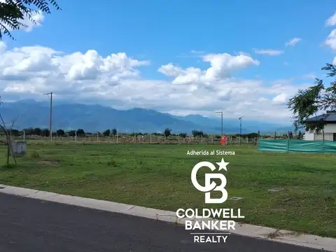 La Verbena, calle 18