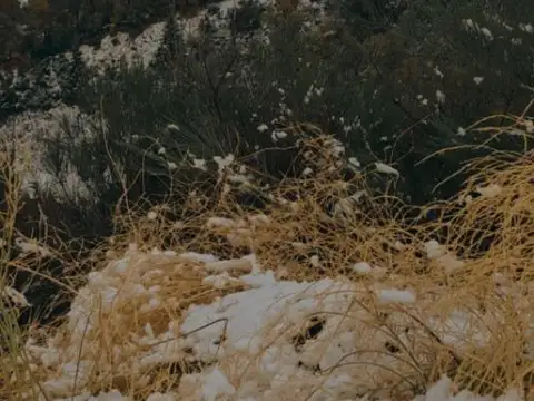 FINA PATAGONIA. Terreno en venta de 800m2 ubicado en San Martin de los Andes