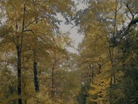 Terreno en Venta de 800,0 m2