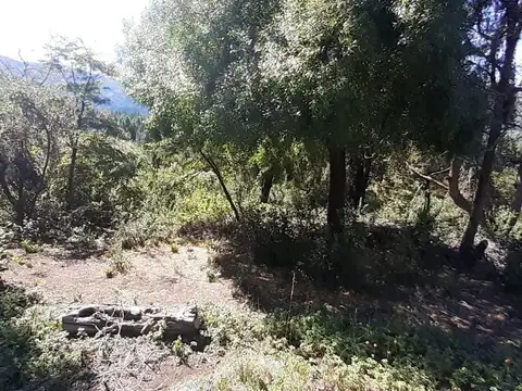 Terreno en Venta de 800,0 m2