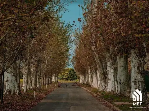 ESTANCIA LA RINCONADA - CLUB DE CAMPO