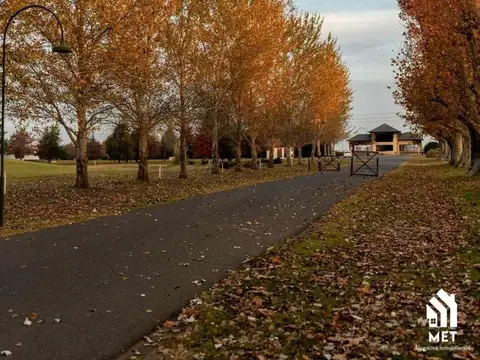 La Rinconada Lote / N° 0