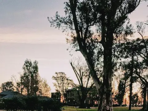 Terreno en Venta en Los Álamos, USD 120.000