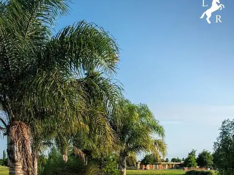 La Rinconada Lote / N° 0