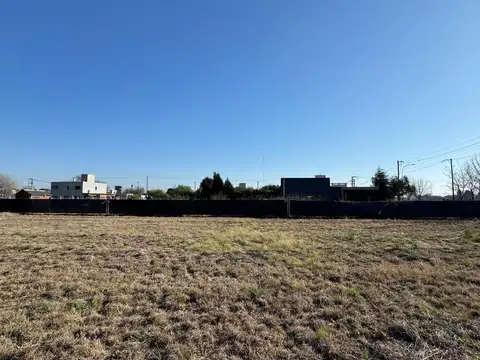 Agustín Piaggio al 1500