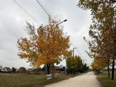 Terreno en Venta en Quintas De Italia, USD 85.000