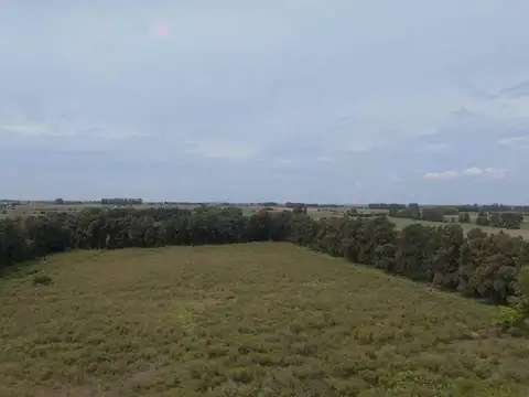 CHACRA EN VENTA - 12 HECTAREAS - LOS CERRILLOS