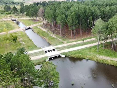 Terreno - Colón