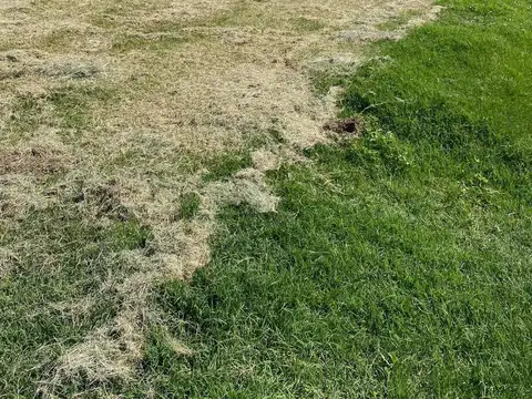 Terreno en Venta de 1043,0 m2