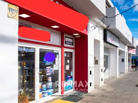 Carlos Pellegrini 300