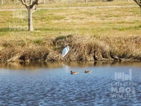 Barrio Las Calandrias Cardales