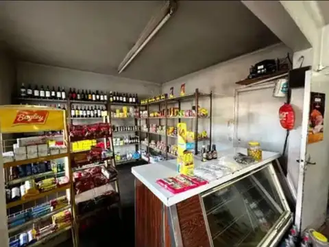 DIEGO PALMA 1100