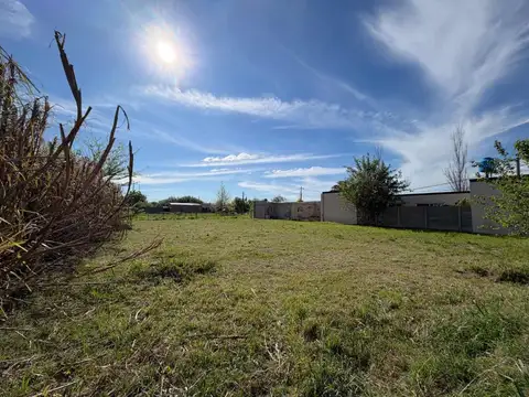RE/MAX VENDE LOTE LEHMANN/OPORTUNIDAD