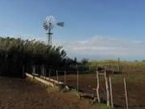 Campo en Venta Mixto