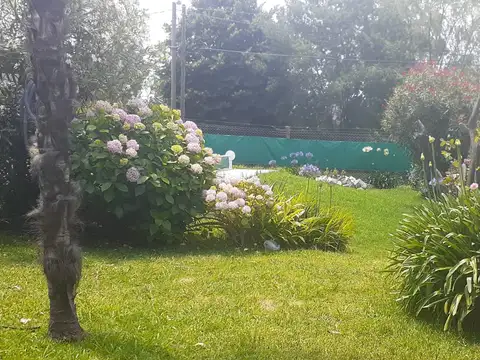 CHALET CON PISCINA Y GRAN PARQUE EN PUNTA MOGOTES