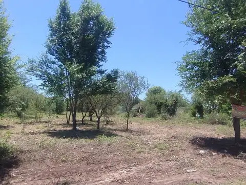 Terreno en Venta 20  mts Frente