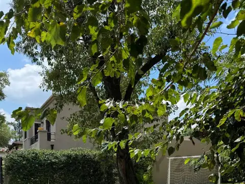Terreno en Venta de 200,0 m2