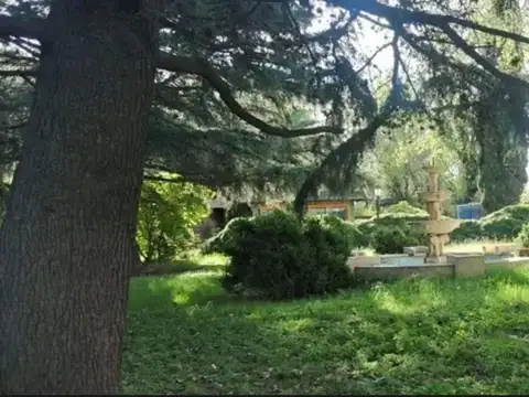 Virrey del Pino Km 40 Calle Maximo