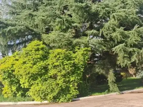 Planta Industrial En Venta 13.300m2, Virrey Del Pino