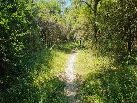 Vendo 650 Has Ganaderas