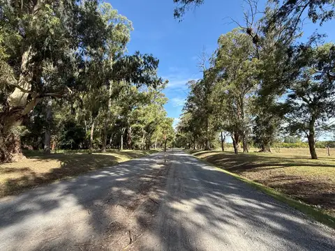 Terreno en Venta 38  mts Fondo