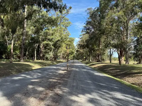 Terreno en Venta 100  mts Frente