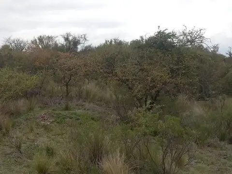 Terreno en Venta de 10000,0 m2