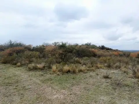 VENTA TERRENO DE UNA HECTÁREA PAMPA DEL TAMBOREO