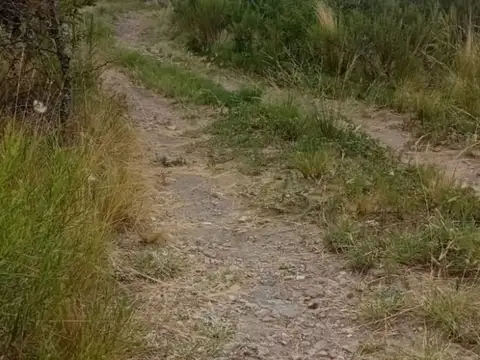 Terreno en Venta de 10000,0 m2