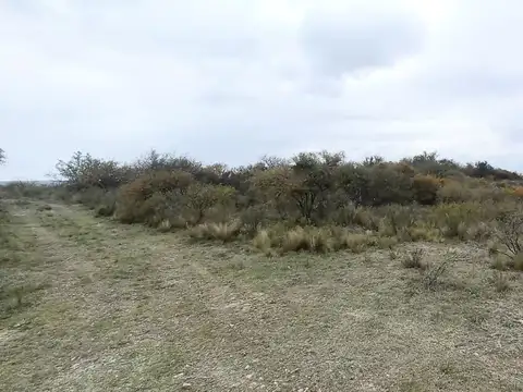 Venta terreno de una hectárea pampa del tamboreo