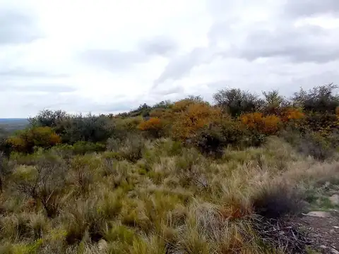 Ruta 39 - Km 52 100