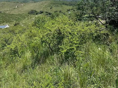 Terreno en Venta de 2390,0 m2