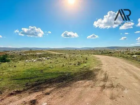 Venta de campo,  39 hectáreas en Valvidia, Maldonado